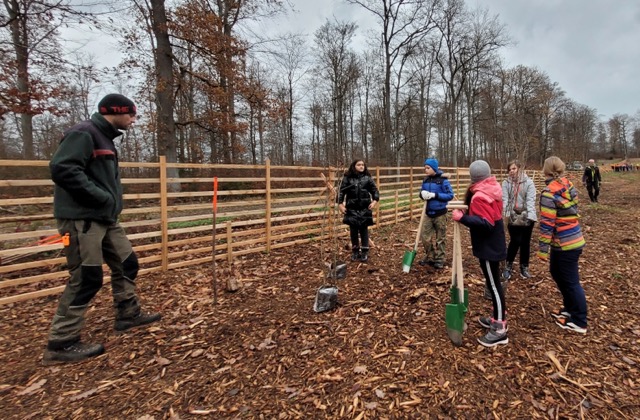 2022 12 GS Pflanzaktion 01