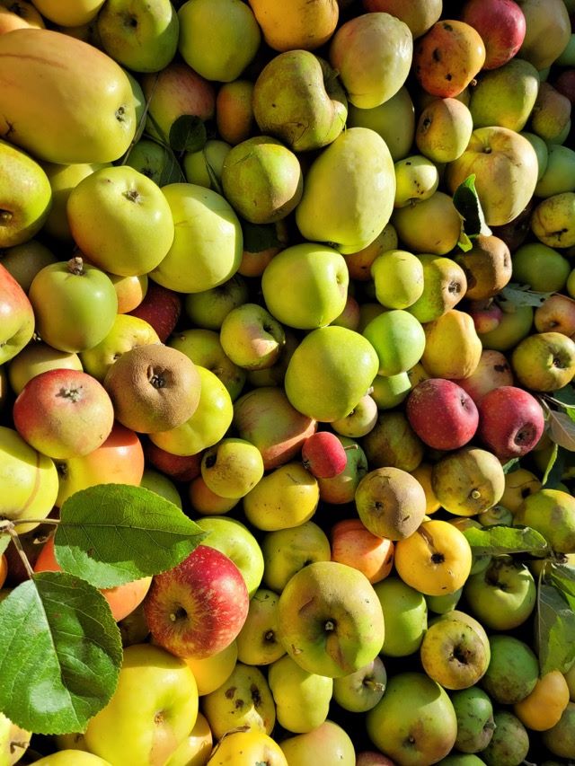 PHOTO 2022 09 21 16 58 032