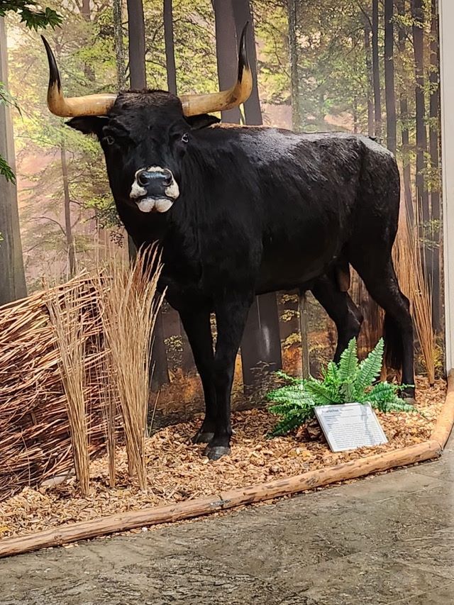 2023 08 31 GS Ferienbetreung 12