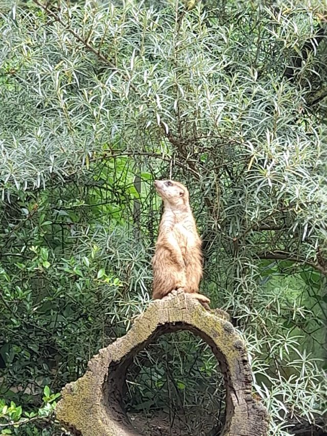 PHOTO 2024 06 04 07 05 483