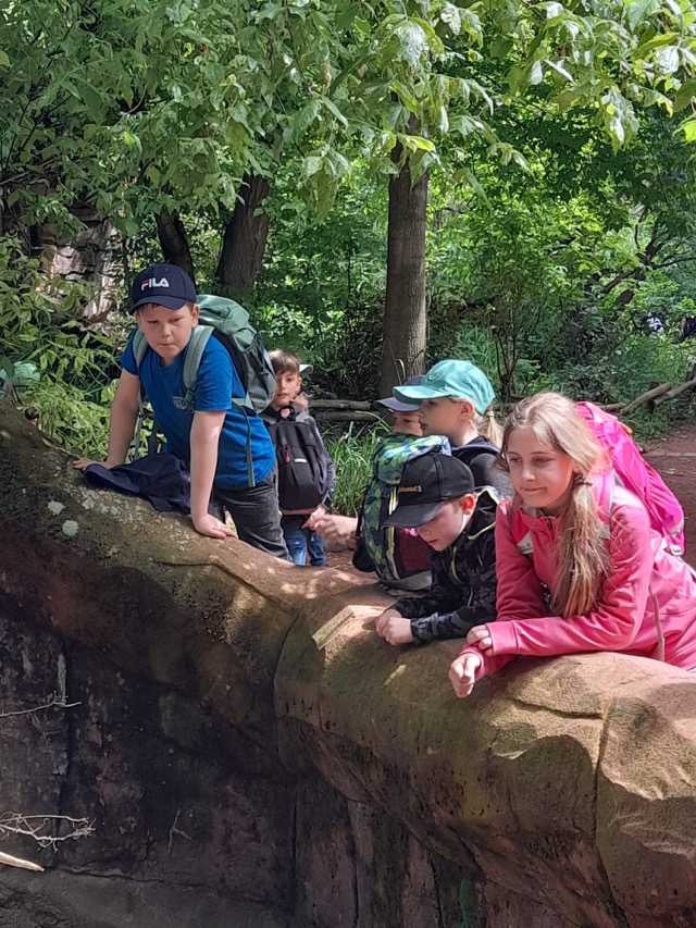 PHOTO 2024 06 04 07 05 486