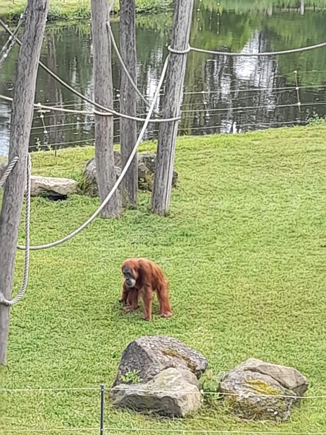 PHOTO 2024 06 04 07 05 488