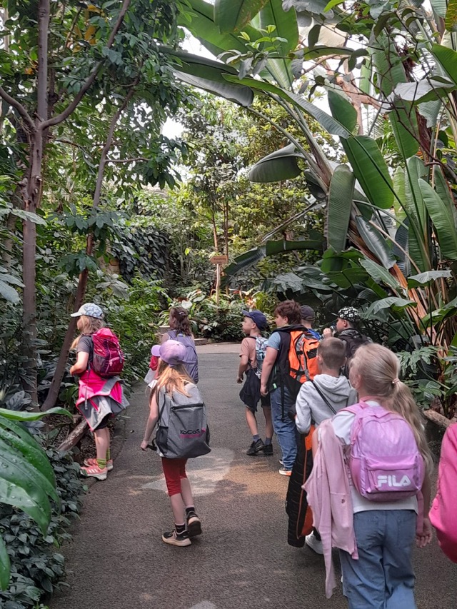 PHOTO 2024 06 04 07 05 489