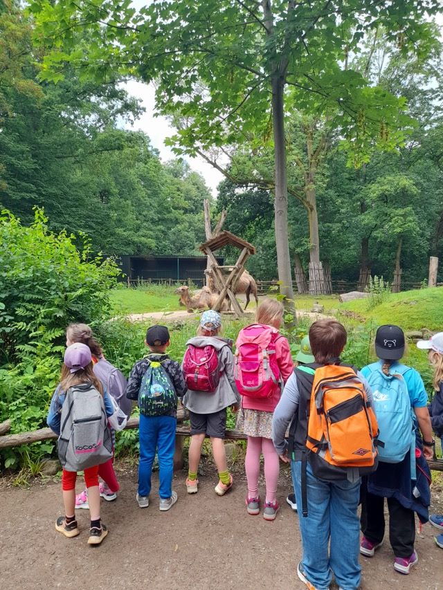 PHOTO 2024 06 04 07 05 4912