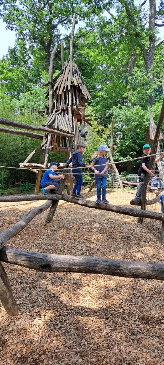 PHOTO 2024 06 04 07 07 433