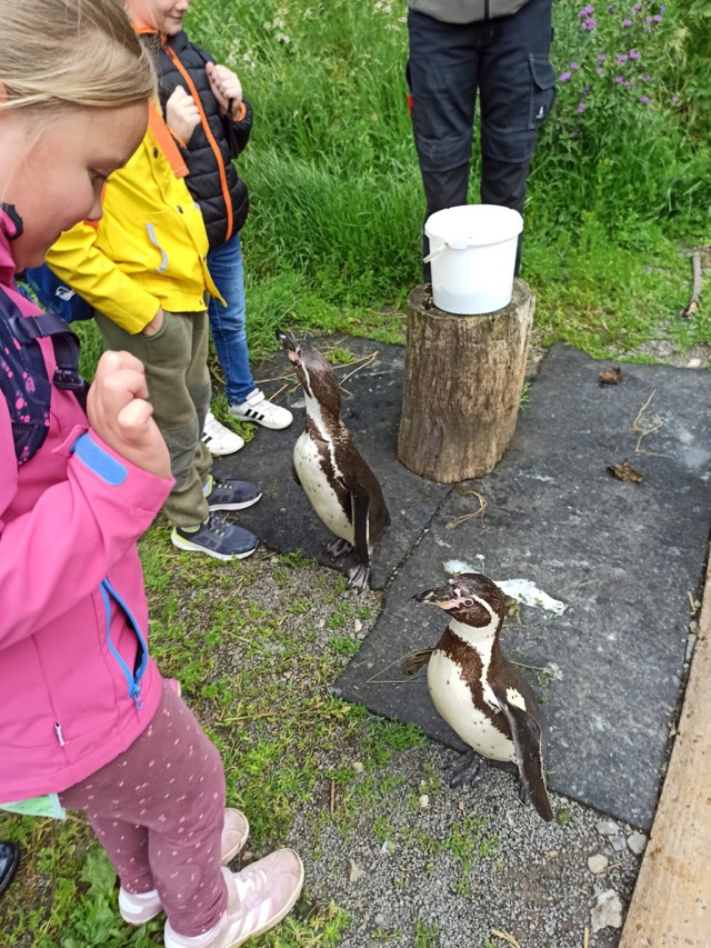 PHOTO 2024 06 24 21 00 353