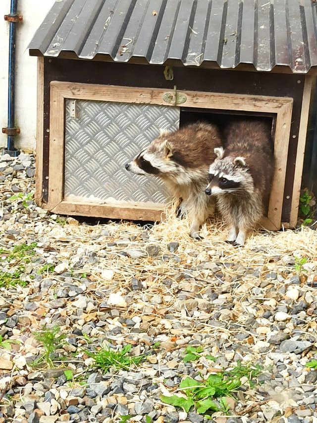 PHOTO 2024 06 24 21 00 544