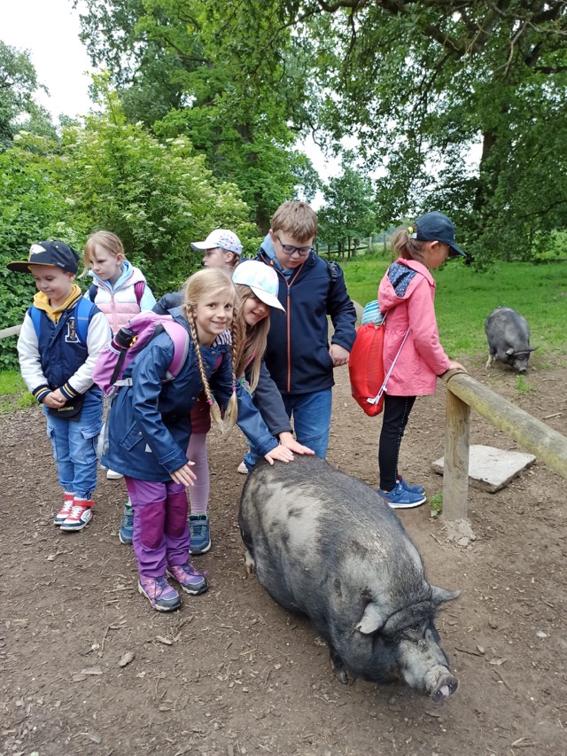 PHOTO 2024 06 24 21 01 435