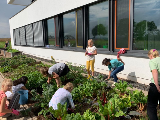 PHOTO 2024 07 11 13 31 291