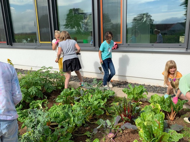 PHOTO 2024 07 11 13 31 302