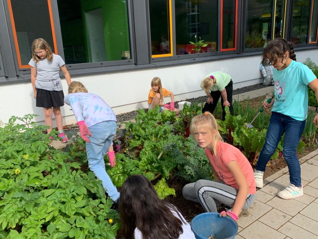 PHOTO 2024 07 11 13 31 303