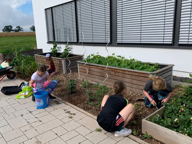 PHOTO 2024 07 11 13 31 314