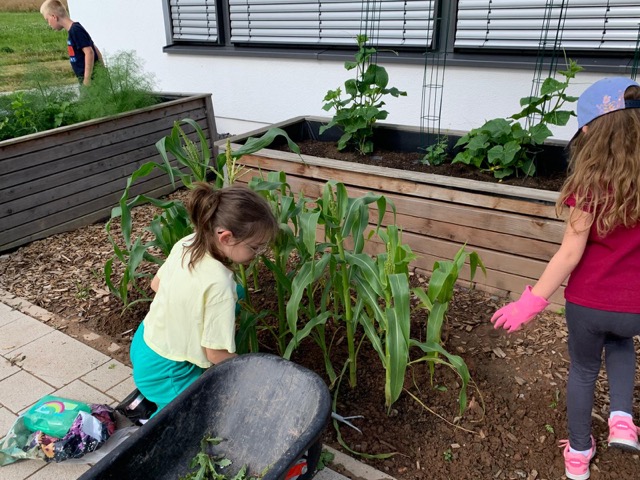 PHOTO 2024 07 11 13 31 327