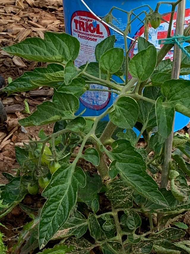 PHOTO 2024 07 11 13 31 3412