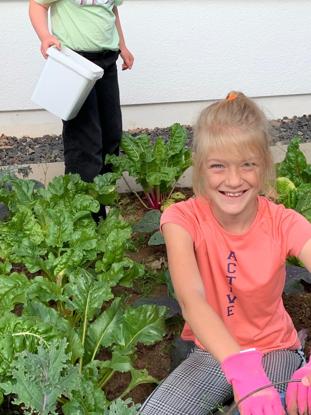 PHOTO 2024 07 11 13 31 3413