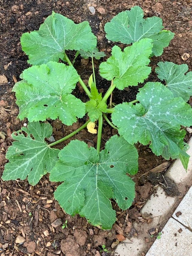 PHOTO 2024 07 11 13 31 3515