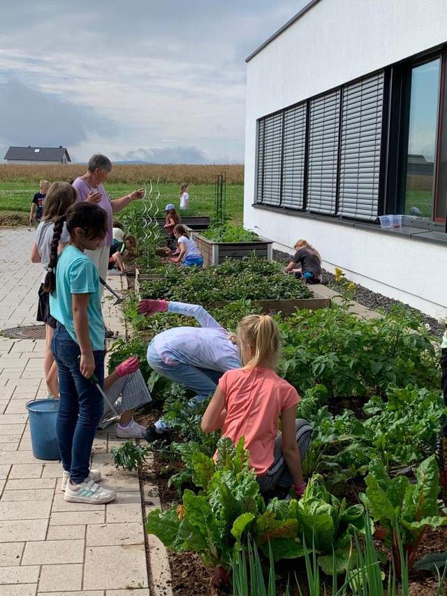 PHOTO 2024 07 11 13 31 3516