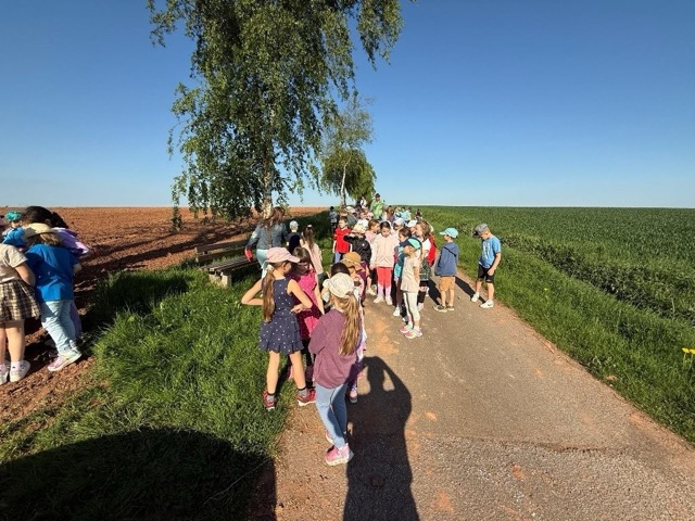 03 05 2025 Blühstreifen 1