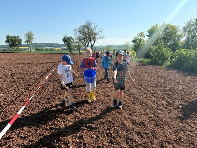 03 05 2025 Blühstreifen 10