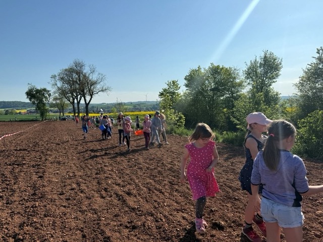 03 05 2025 Blühstreifen 11