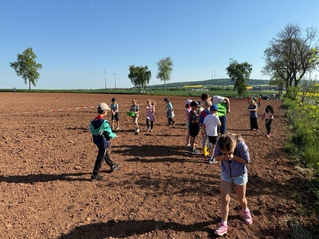 03 05 2025 Blühstreifen 12