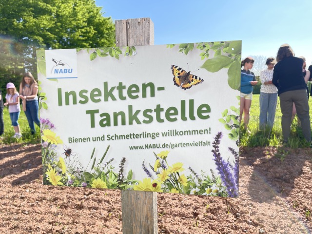 03 05 2025 Blühstreifen 13