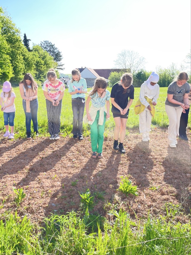 03 05 2025 Blühstreifen 14