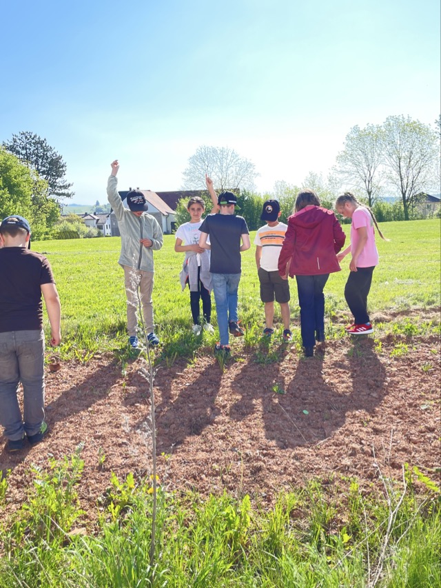 03 05 2025 Blühstreifen 16