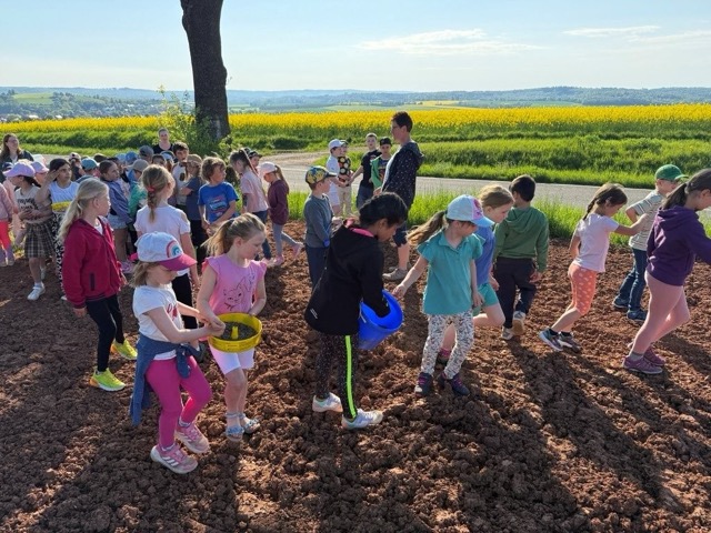 03 05 2025 Blühstreifen 2