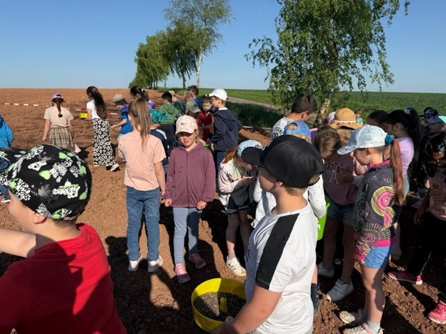 03 05 2025 Blühstreifen 3