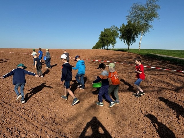 03 05 2025 Blühstreifen 4