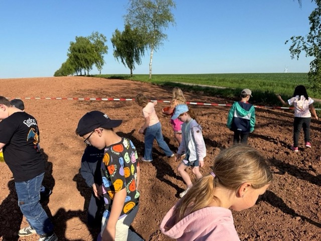 03 05 2025 Blühstreifen 5