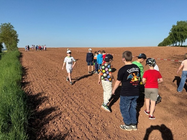 03 05 2025 Blühstreifen 6