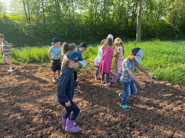 03 05 2025 Blühstreifen 7