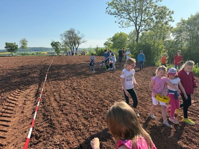 03 05 2025 Blühstreifen 8