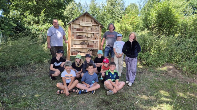 2025 07 09 Insektenhotel 1