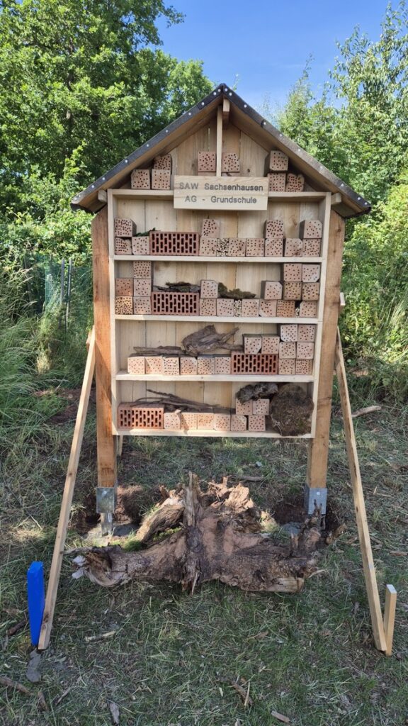 2025 07 09 Insektenhotel 2