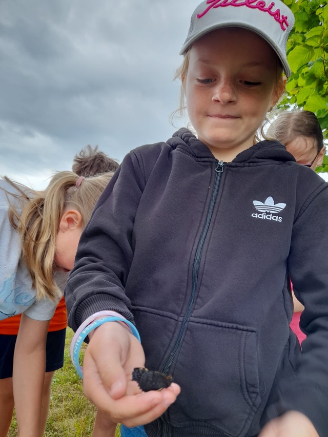 29 06 2025 Gemüseacker 10