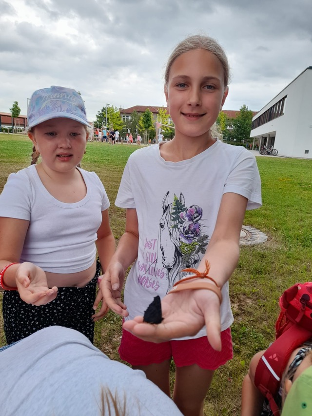 29 06 2025 Gemüseacker 11