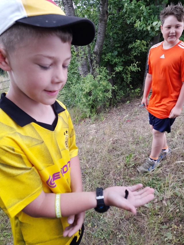 29 06 2025 Gemüseacker 12