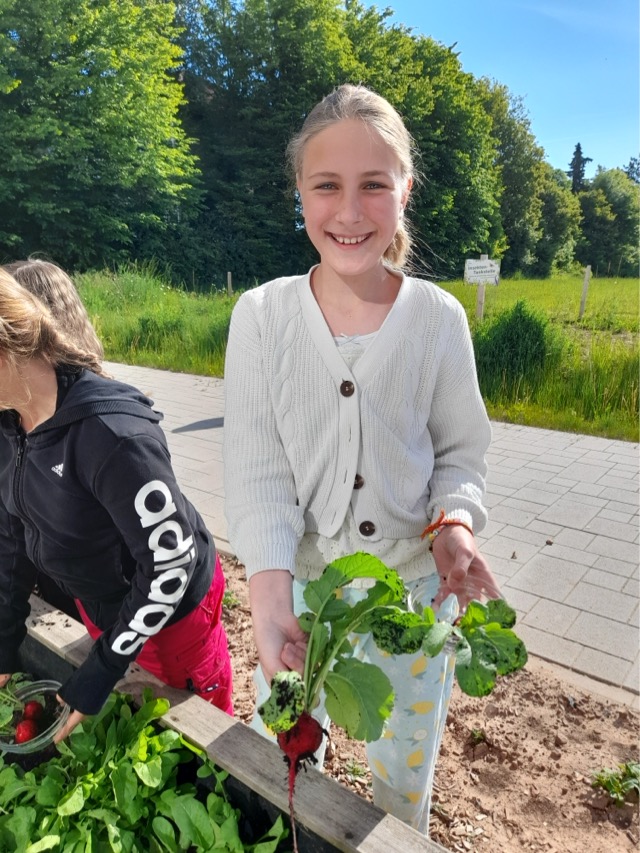 29 06 2025 Gemüseacker 5