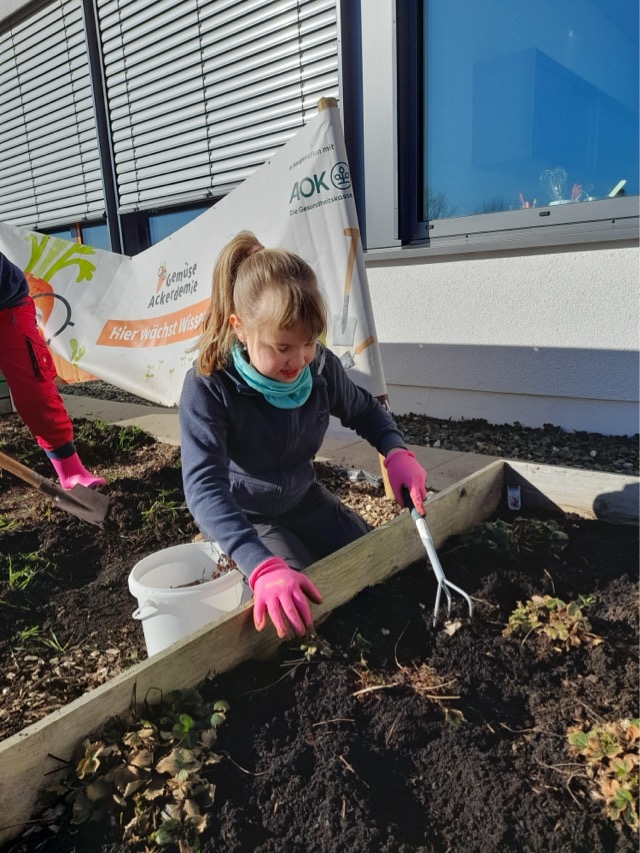 29 06 2025 Gemüseacker 6