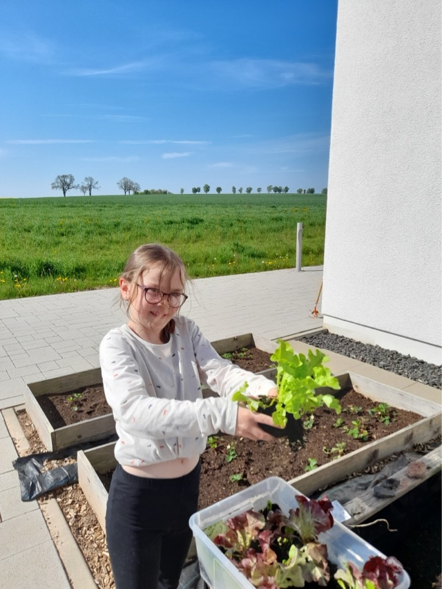 29 06 2025 Gemüseacker 7