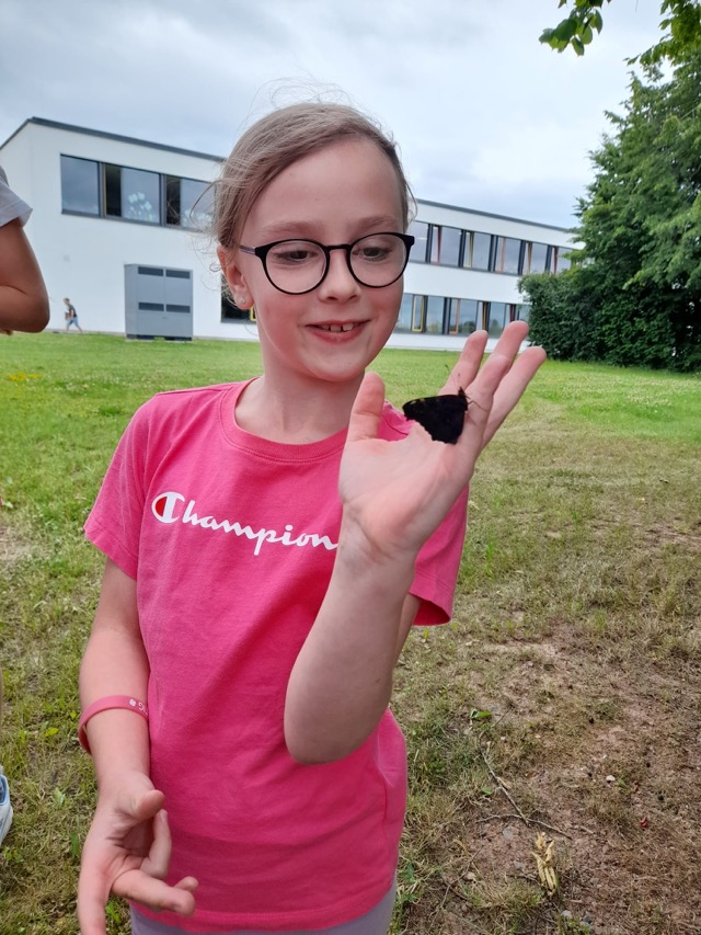 29 06 2025 Gemüseacker 8