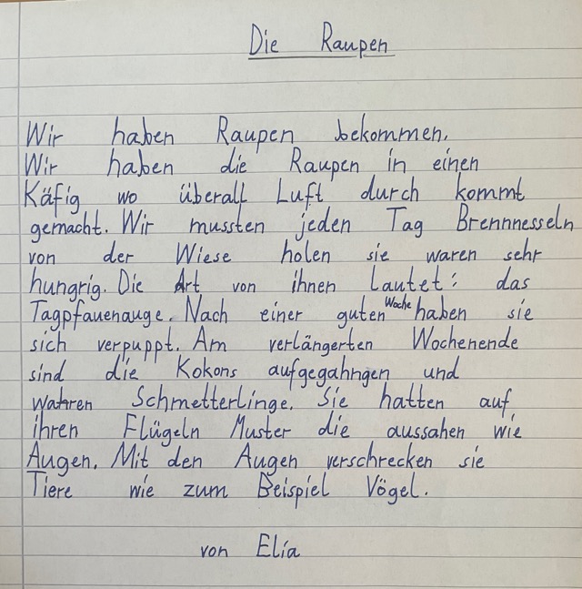 29 06 2026 batiken 10