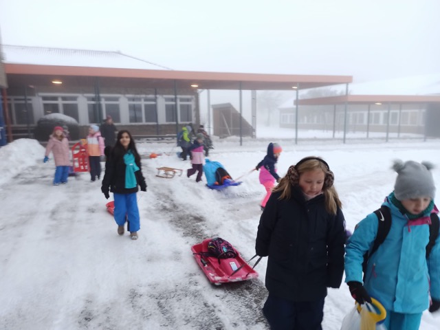 2026 02 04 Rodeln 30