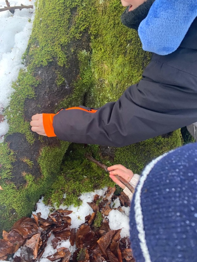 2026 02 10 Waldtag 13