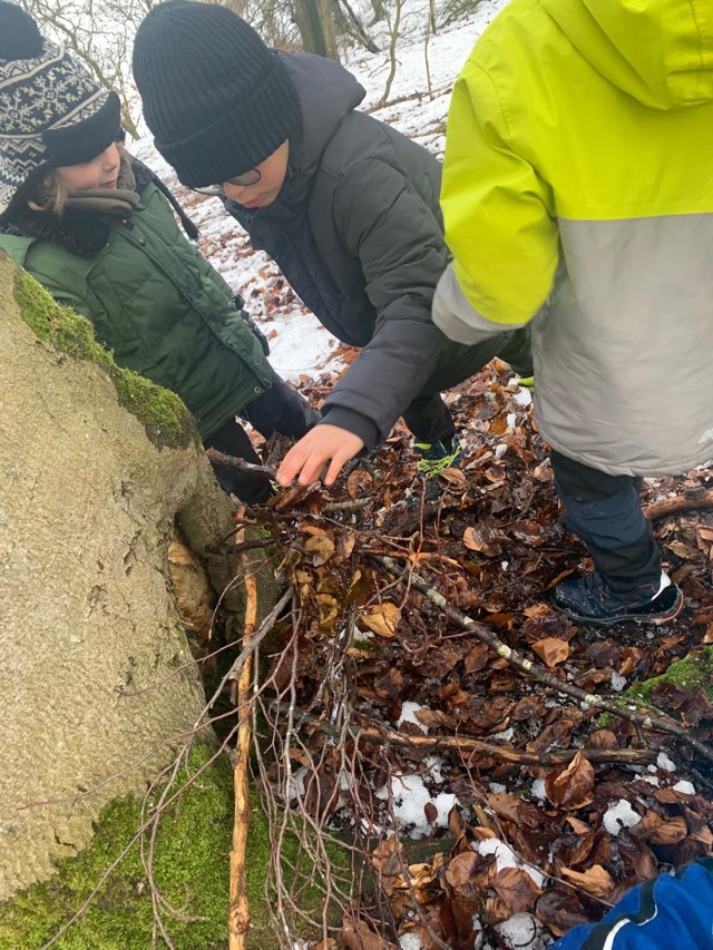 2026 02 10 Waldtag 14