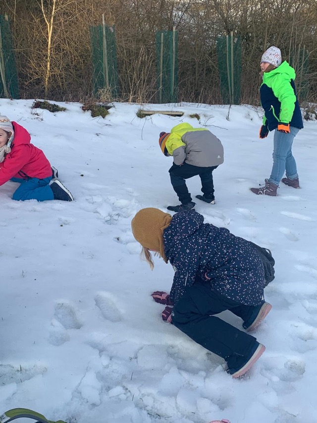 2026 02 10 Waldtag 3