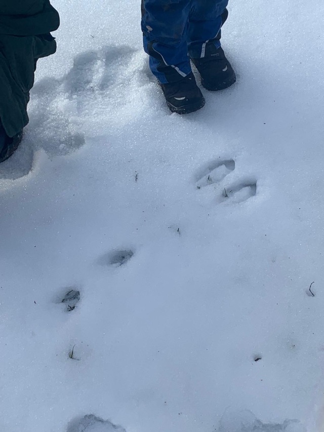 2026 02 10 Waldtag 4